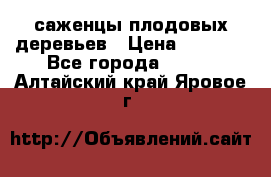 саженцы плодовых деревьев › Цена ­ 6 080 - Все города  »    . Алтайский край,Яровое г.